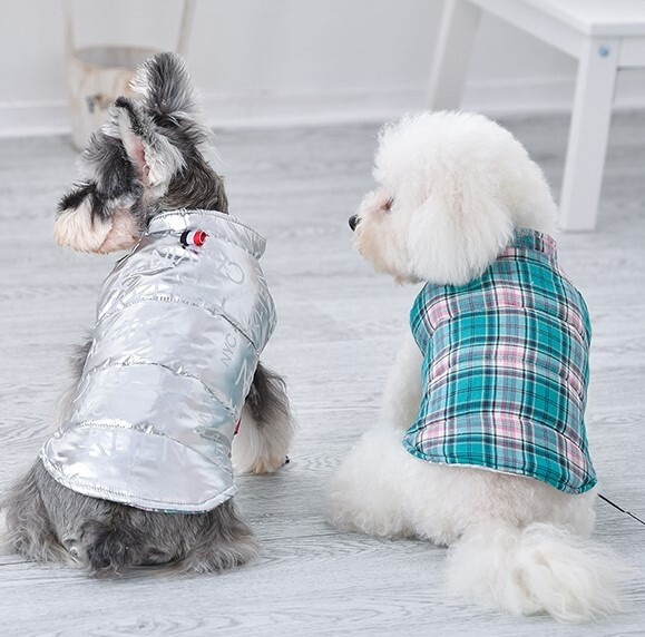 Двусторонняя куртка для собак Arnydog Star, цвет серебристый, S (24см).  Жилетка, одежда для собак мелких пород, для кошек - купить с доставкой по  выгодным ценам в интернет-магазине OZON (195036517)