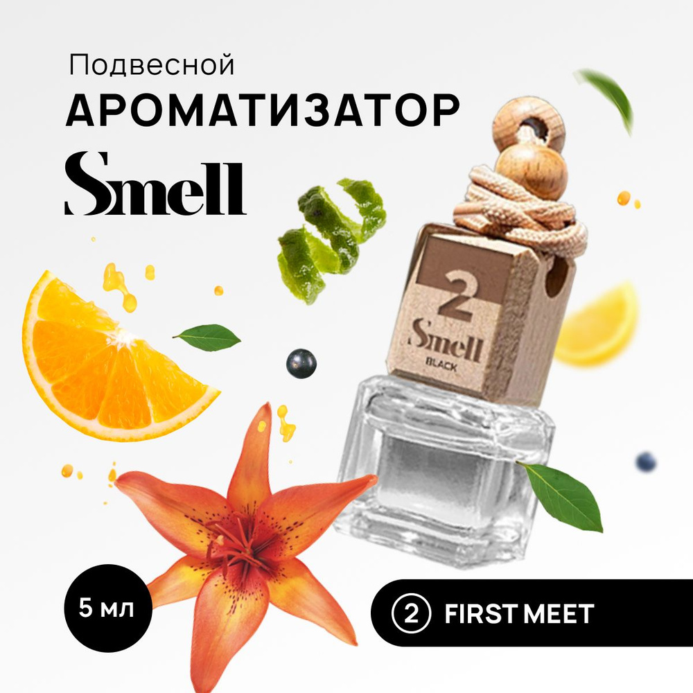 Ароматизатор для автомобиля BLACK SMELL FIRST MEET - ПЕРВАЯ ВСТРЕЧА №2,  подвесной на зеркало в машину. - купить с доставкой по выгодным ценам в  интернет-магазине OZON (681640608)