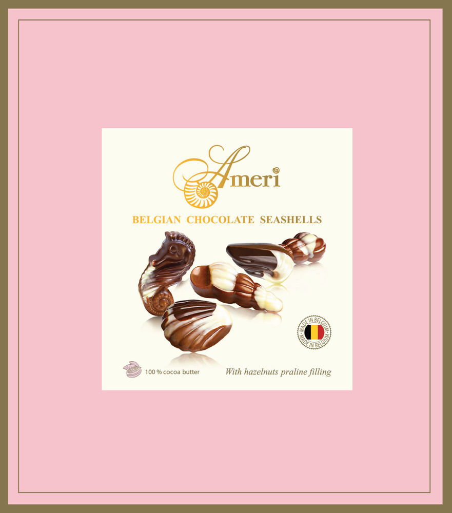 Подарочный набор Ameri Belgian Seachell Шоколадные конфеты-ракушки с начинкой пралине, 250г  #1