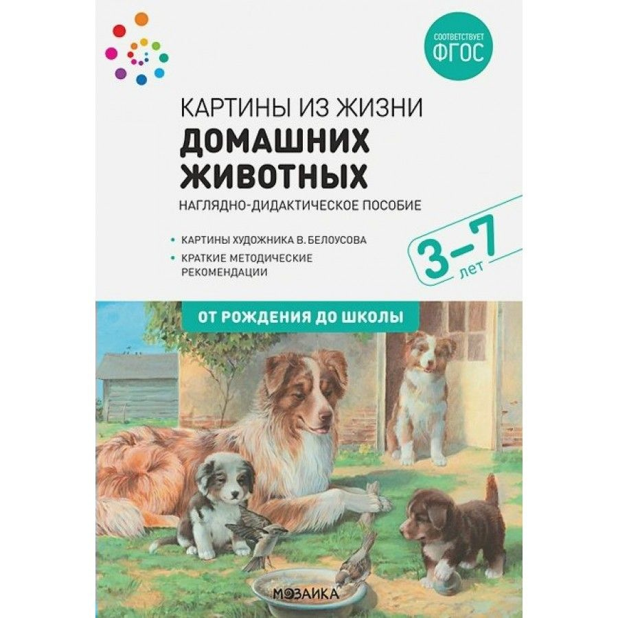 Набор плакатов. ФГОС ДО. Картины из жизни домашних животных 3-7 лет.  Николаева С.Н. - купить с доставкой по выгодным ценам в интернет-магазине  OZON (713500252)