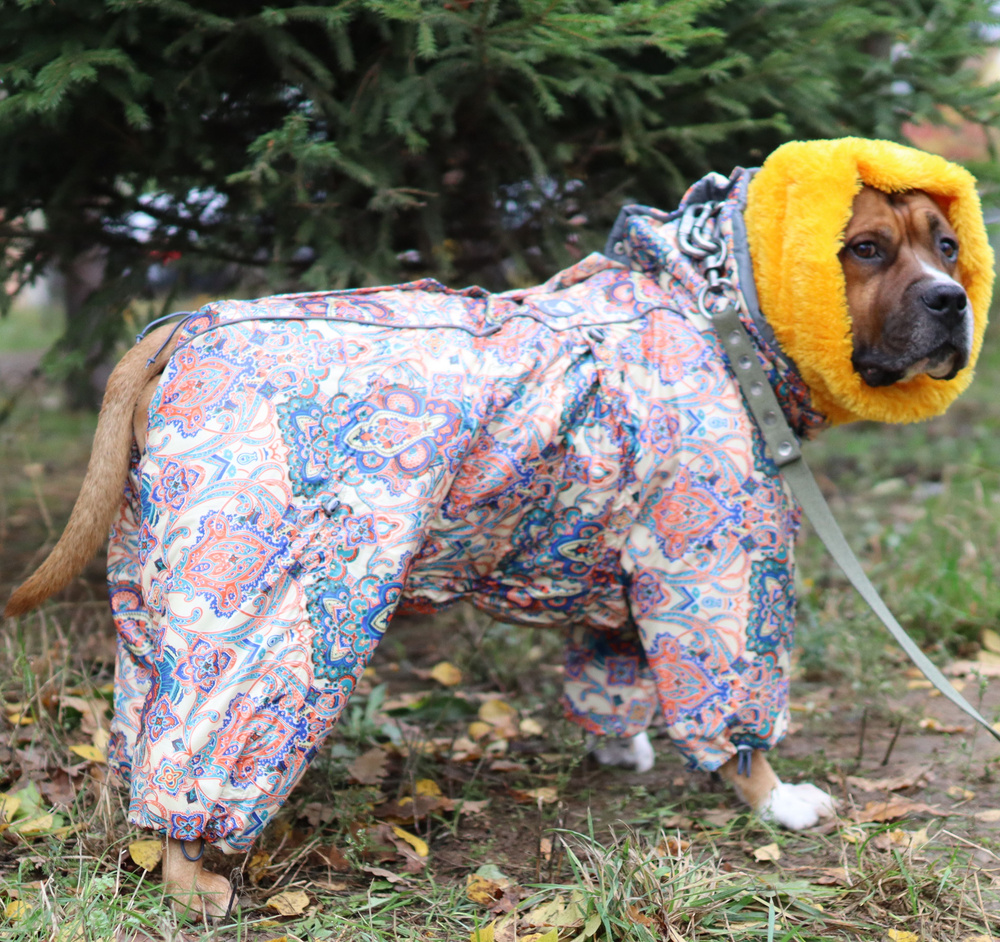 Зимний комбинезон для собак со съемными штанами