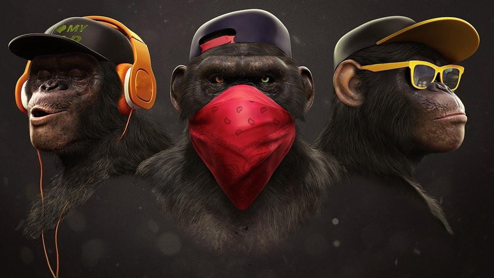 Фото Три обезьяны, более 88 качественных бесплатных стоковых фото