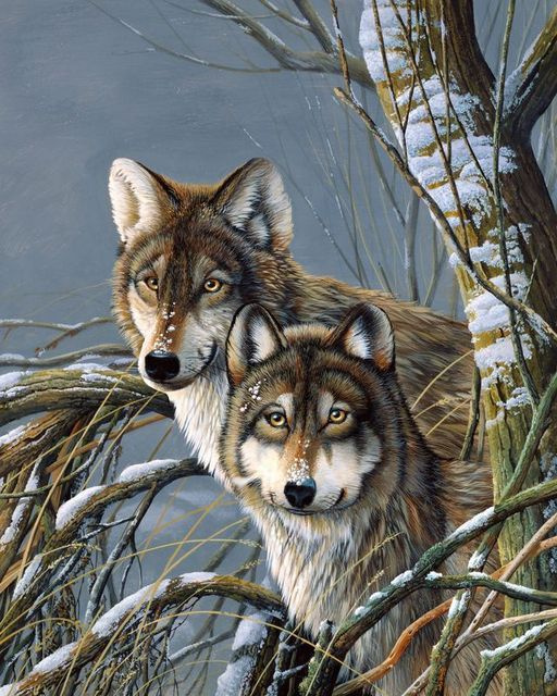 Набор для творчества Вышивка крестом наборы 40х50 Волки в лесу. Пара. Пейзаж. Зима.  #1