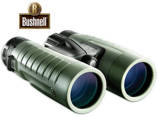 bushnell 10x42