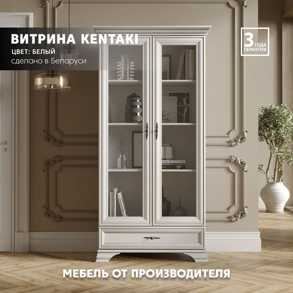 Шкаф-витрина БРВ МЕБЕЛЬ Kentaki REG2W1S, 99.5x43.5x197.5 см - купить по  выгодной цене в интернет-магазине OZON (852284156)