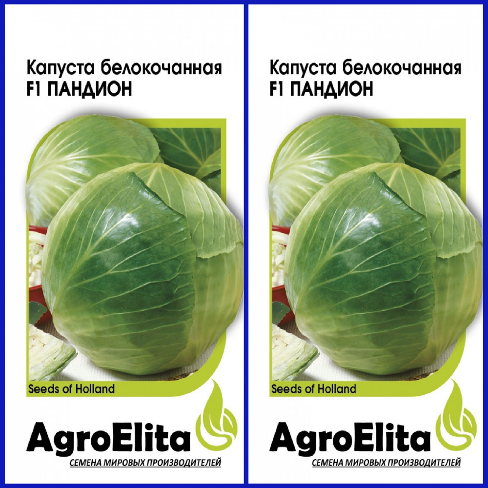 Капуста agro elita Капуста - купить по выгодным ценам в интернет-магазинеOZON (889960784)