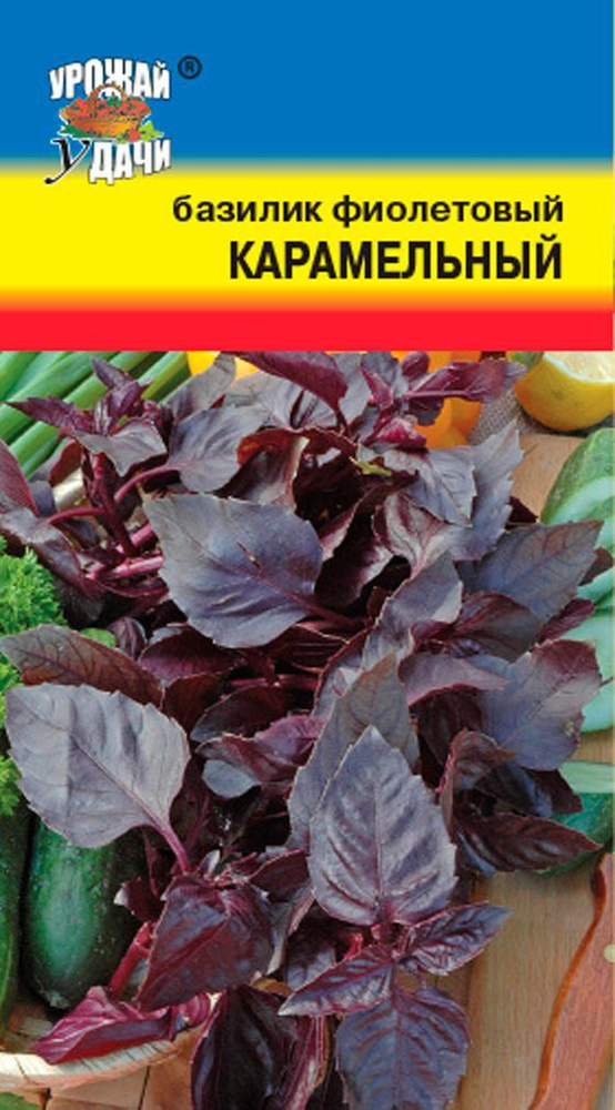 Семена Базилик КАРАМЕЛЬНЫЙ Фиолетовый (Семена УРОЖАЙ УДАЧИ, 0,3г в упаковке)  #1