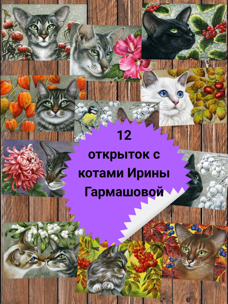 «Питерские коты». Открытки