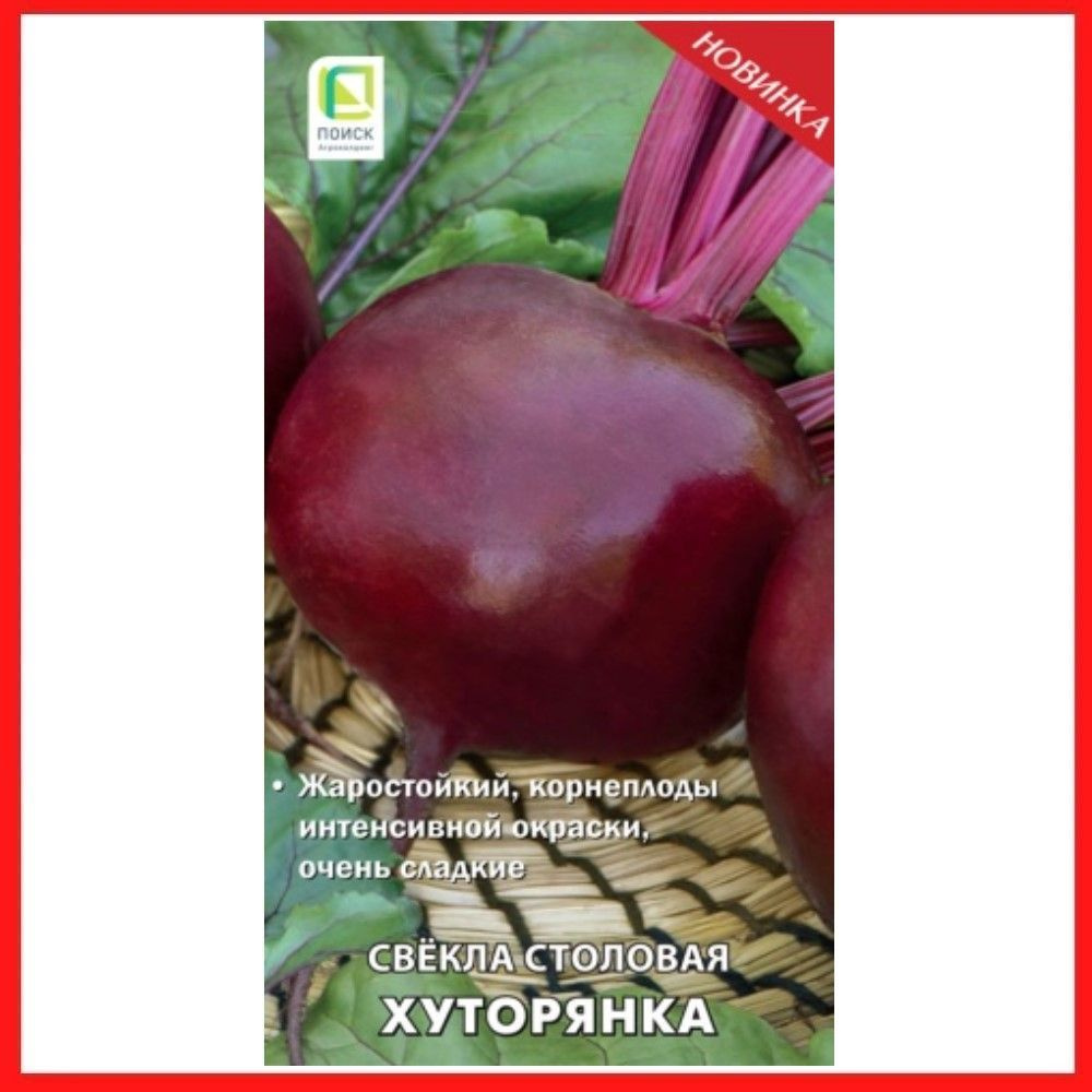 Семена Свекла столовая "Хуторянка", 3 гр, для дома, дачи и огорода, в открытый грунт, овощи из семян. #1