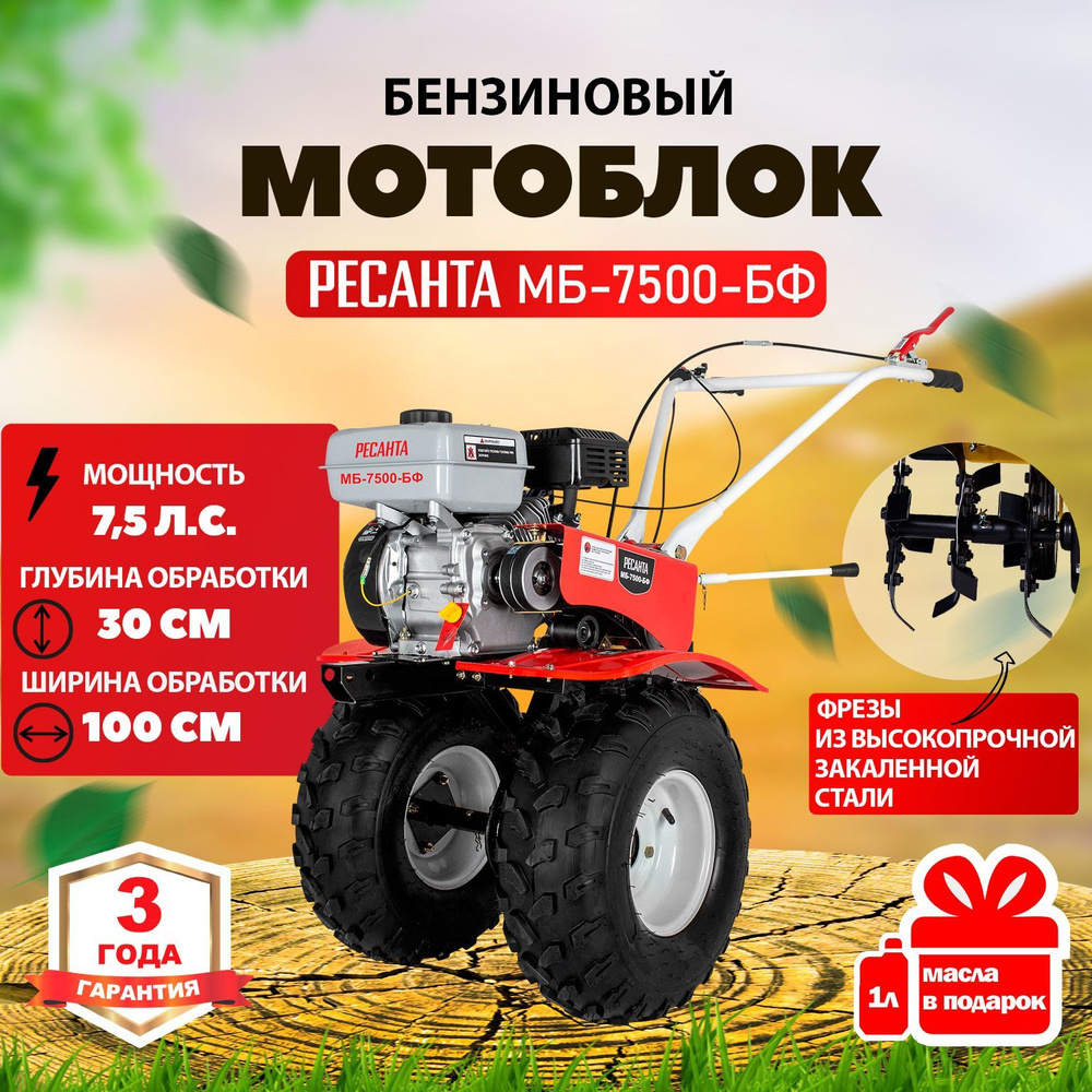 Сельскохозяйственная машина МБ-7500P-БФ Ресанта, садовый культиватор (7,5  л.с. 2 вперед / 1 назад, ширина обработки 100 см, редуктор чугун) - купить  мотоблок по выгодной цене в интернет-магазине OZON (738174564)