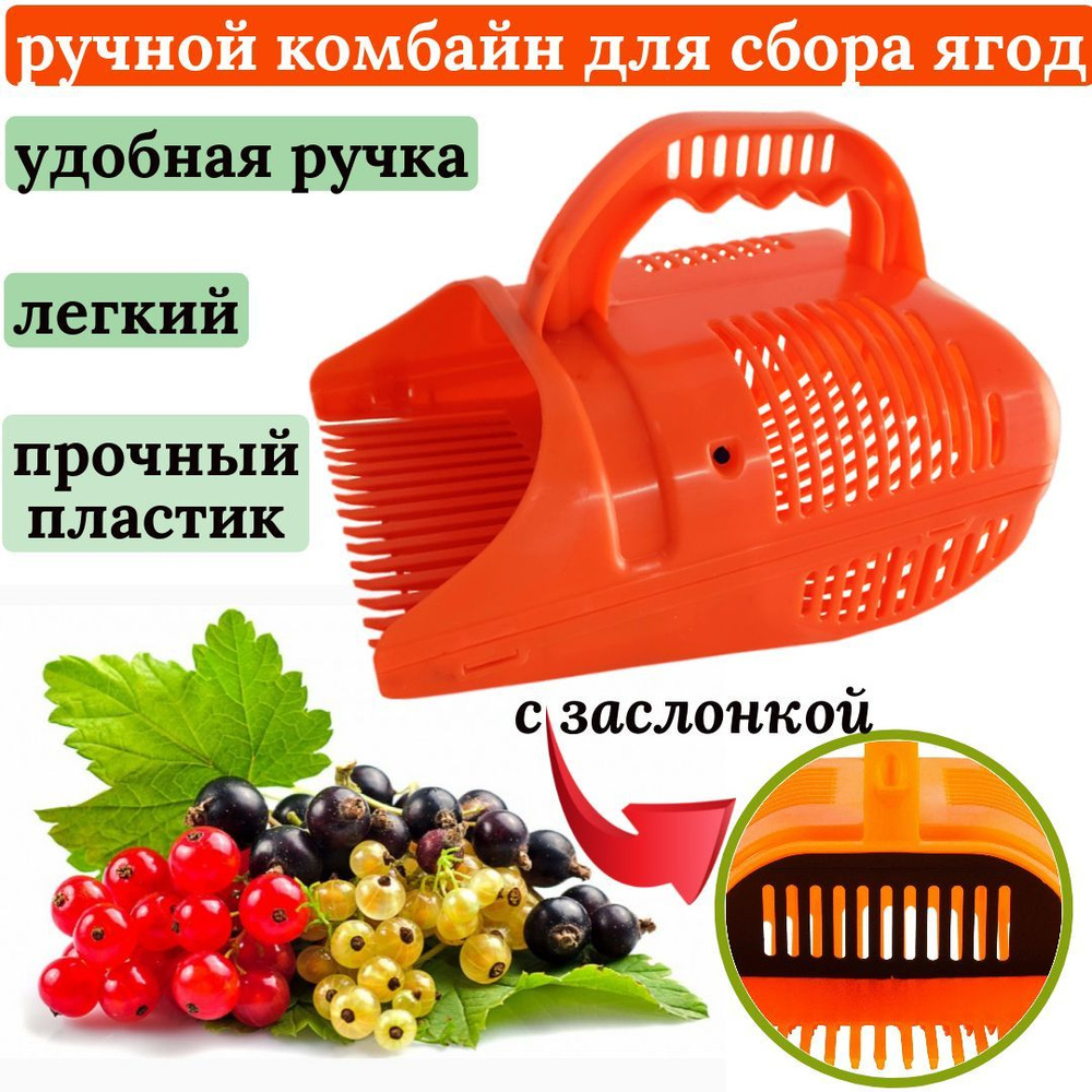 БТМ Плодосборник,23х16х15см - купить с доставкой по выгодным ценам в ...