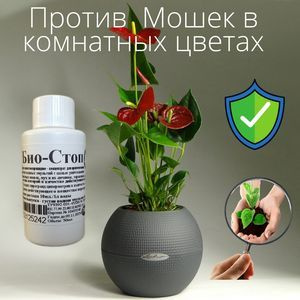 Как избавиться от цветочной мухи: 5 эффективных советов