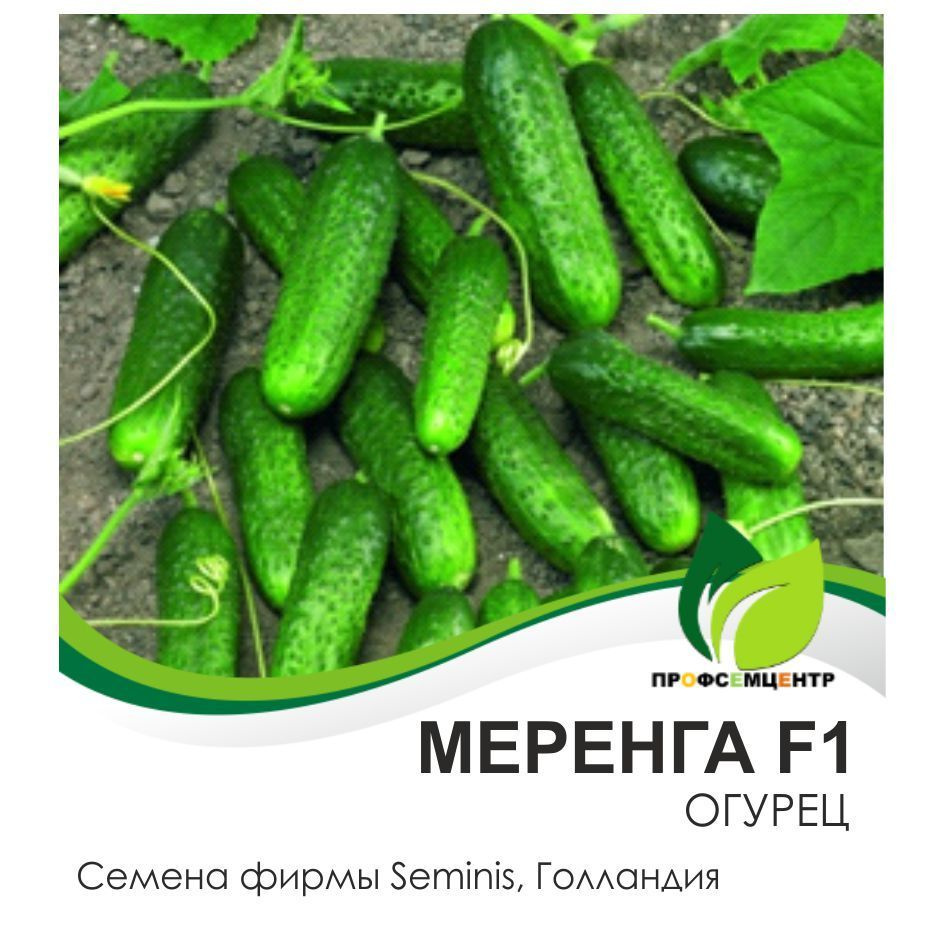 Огурец Меренга F1, семена, 5 шт. (партенокарпический, короткоплодный) #1