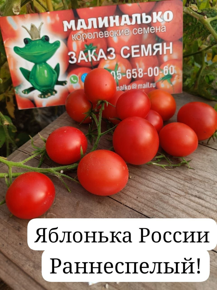 Семена #1