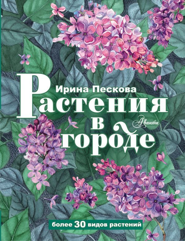 Растения в городе #1