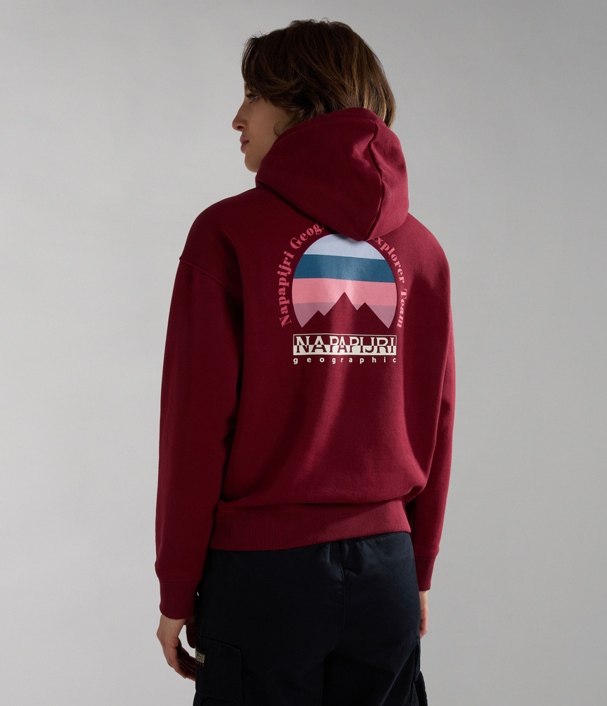 Napapijri geographic hoodie sale