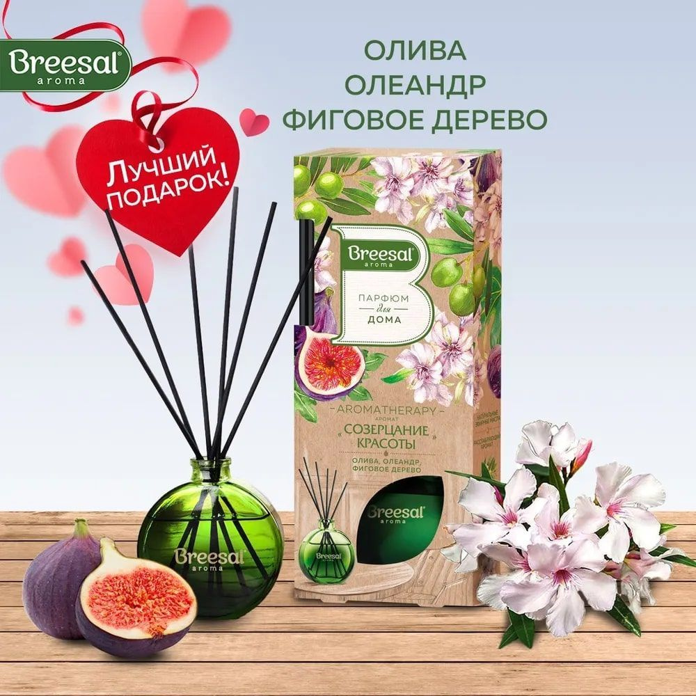 Диффузор ароматический, Breesal Aromatherapy Созерцание красоты,  ароматизатор для дома с палочками, 70 мл