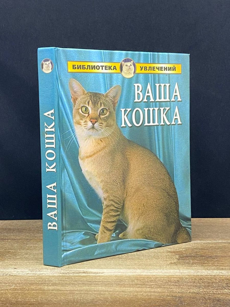 Книга Махаон Моя кошка купить по цене ₽ в интернет-магазине Детский мир