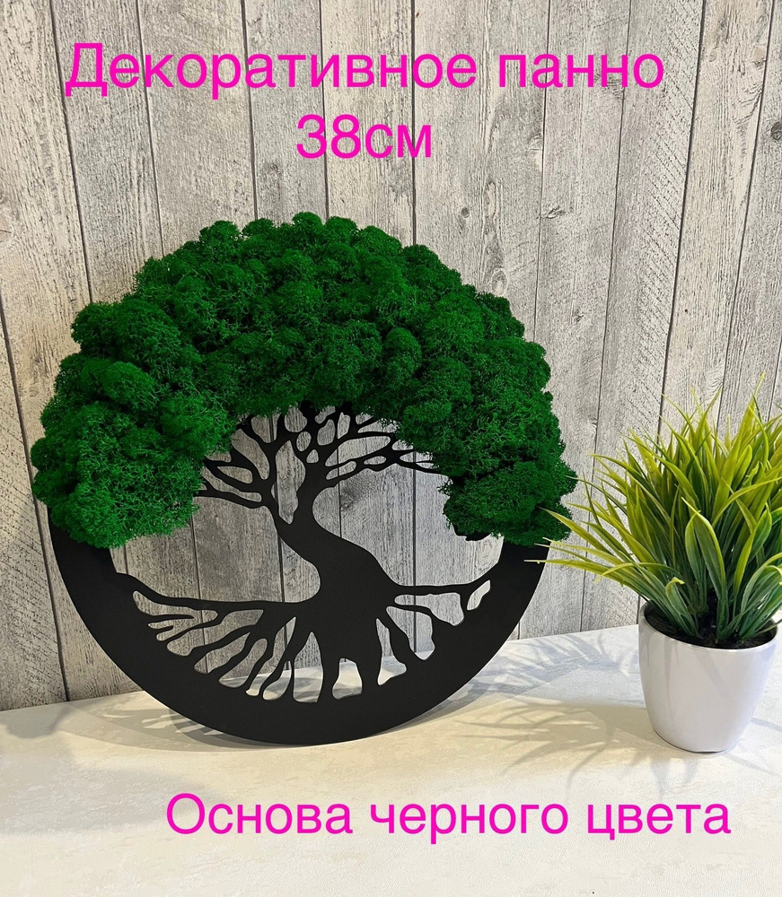 Декоративное панно со стабилизированным мхом 38 см в черном цвете.Картина  на стену.