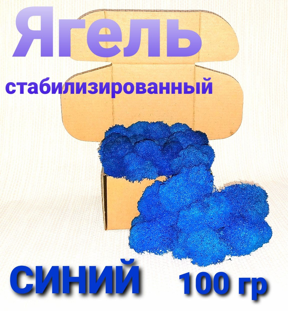 Стабилизированный мох, 100 гр #1