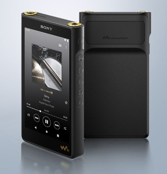 MP3-плеер Sony NW-WM1AM2, 128 ГБ купить по выгодной цене в интернет ...