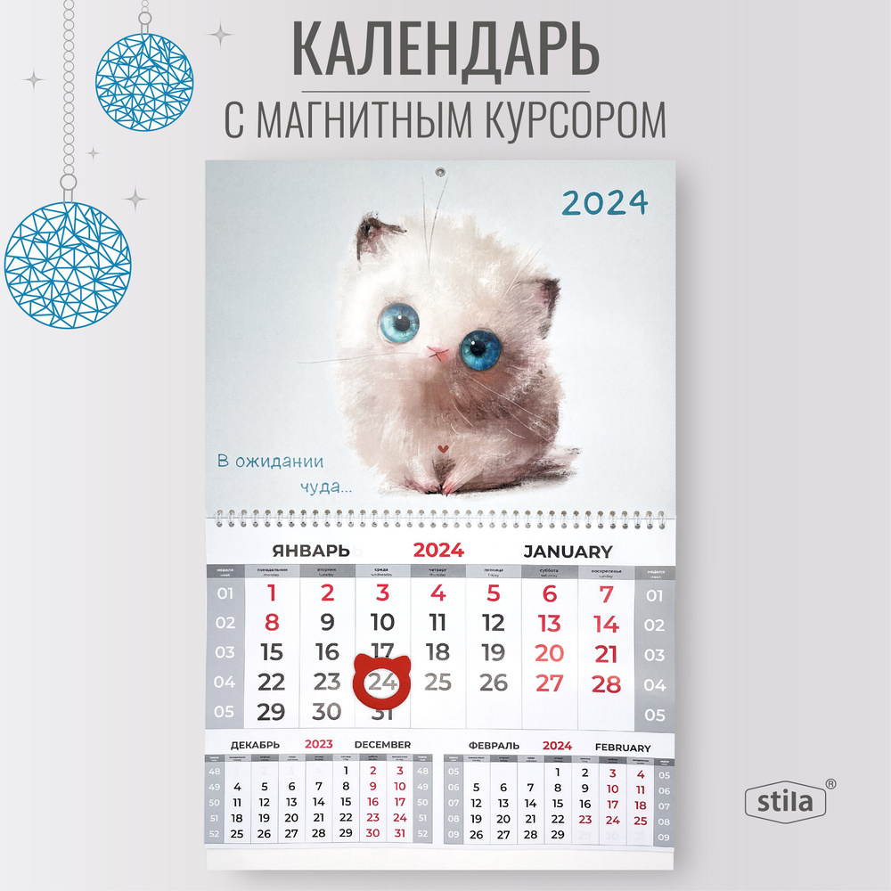 Календарь 2024 настенный квартальный с магнитным курсором. Пушистый  котенок - купить с доставкой по выгодным ценам в интернет-магазине OZON  (1279359521)