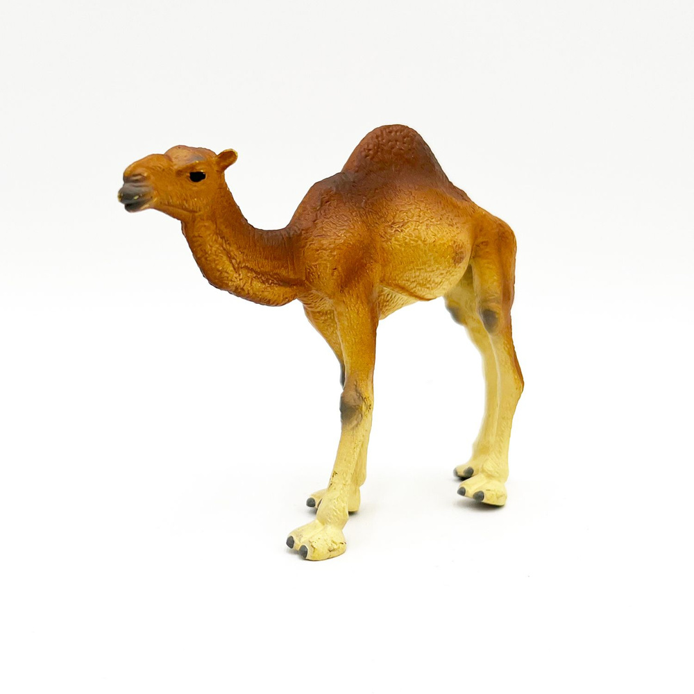 Фигурка Детское Время - Одногорбый верблюд породы Дромадер (стоит, цвета: коричневый, желтый), серия: #1
