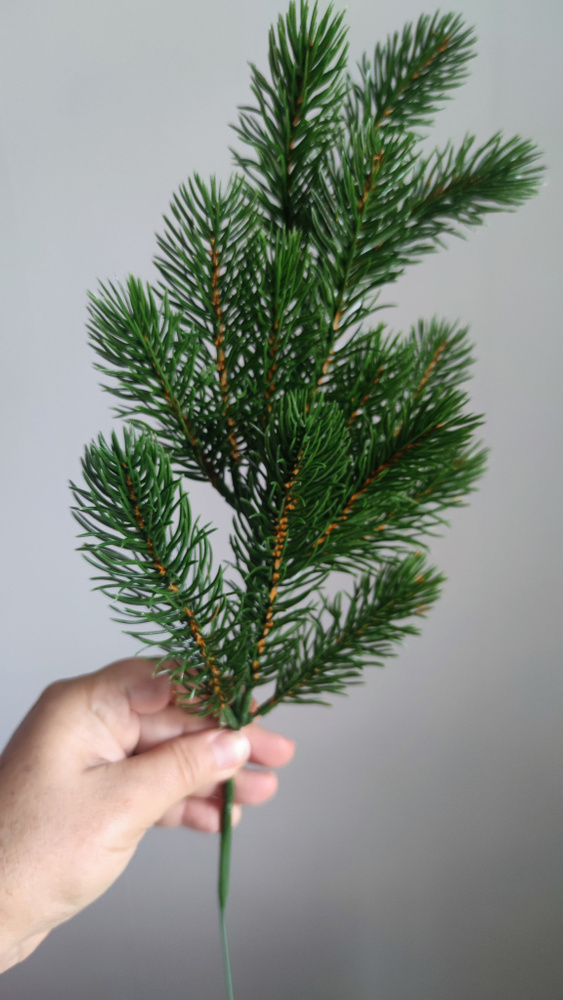 ветка хвойная - купить по выгодной цене в интернет-магазине OZON ...