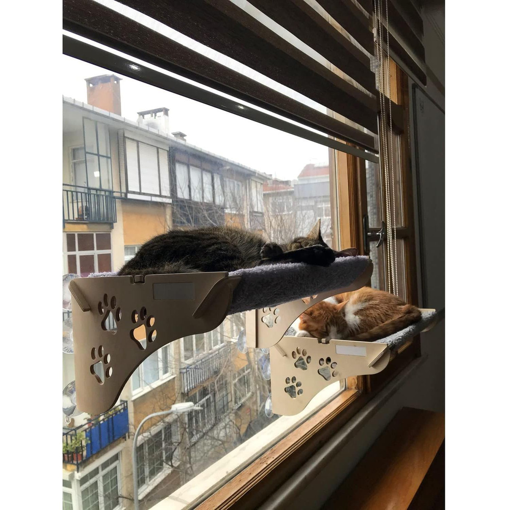 Кошачья Лежанка, Которая Прилипает К Деревянному Стеклу 45 x 30 x 20 ...