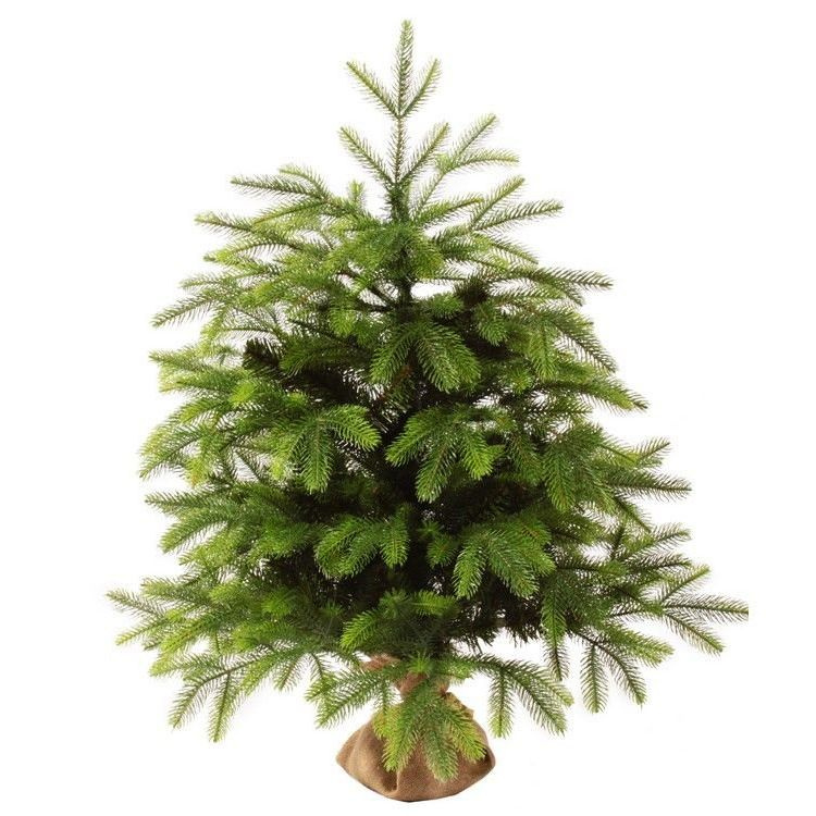 Искуственная Елка искусственная Настольная Царь Елка Байкальская 90 см ...