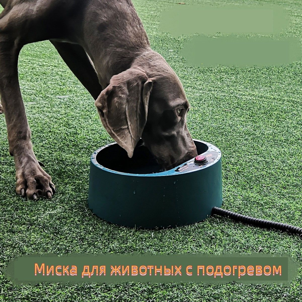 Миска для животных с подогревом -snkt - купить с доставкой по выгодным ...