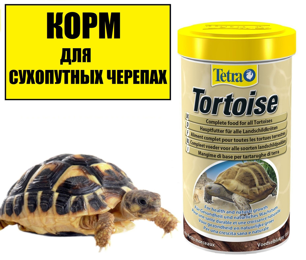 Корм для сухопутных черепах, Tetra Tortoise 250 мл #1