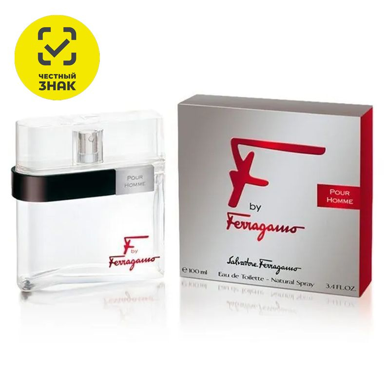 Salvatore Ferragamo F by Ferragamo Pour Homme 100