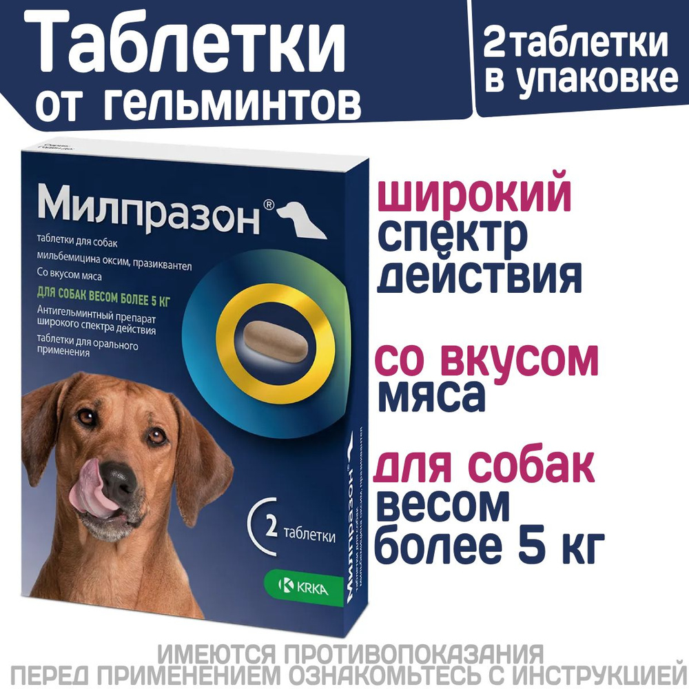 Милпразон таблетки для щенков и собак более5 кг - купить с доставкой по  выгодным ценам в интернет-магазине OZON (1046296678)