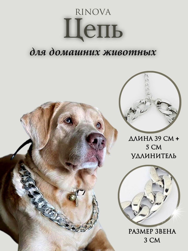 Цепь ошейник для собак и кошек декоративная. - купить с доставкой по ...