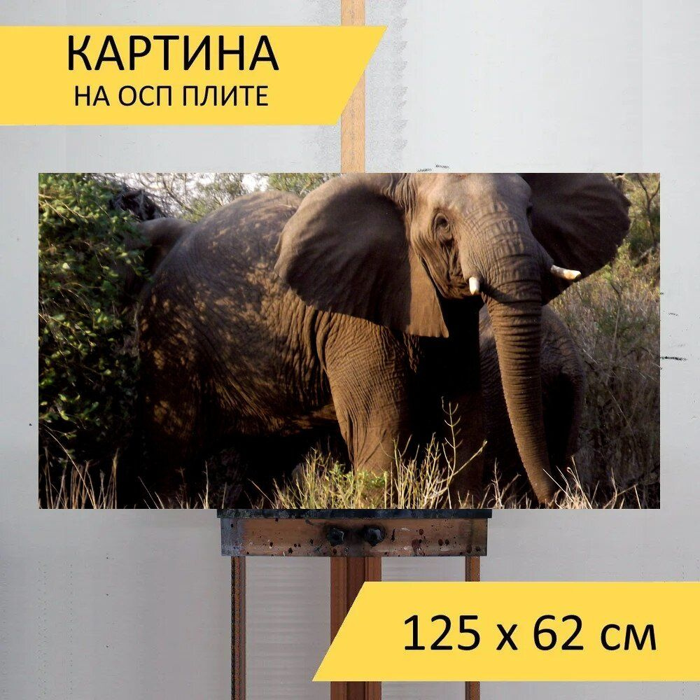 LotsPrints Картина "Слон, животное, дикая природа 53", 125 х 62 см  #1