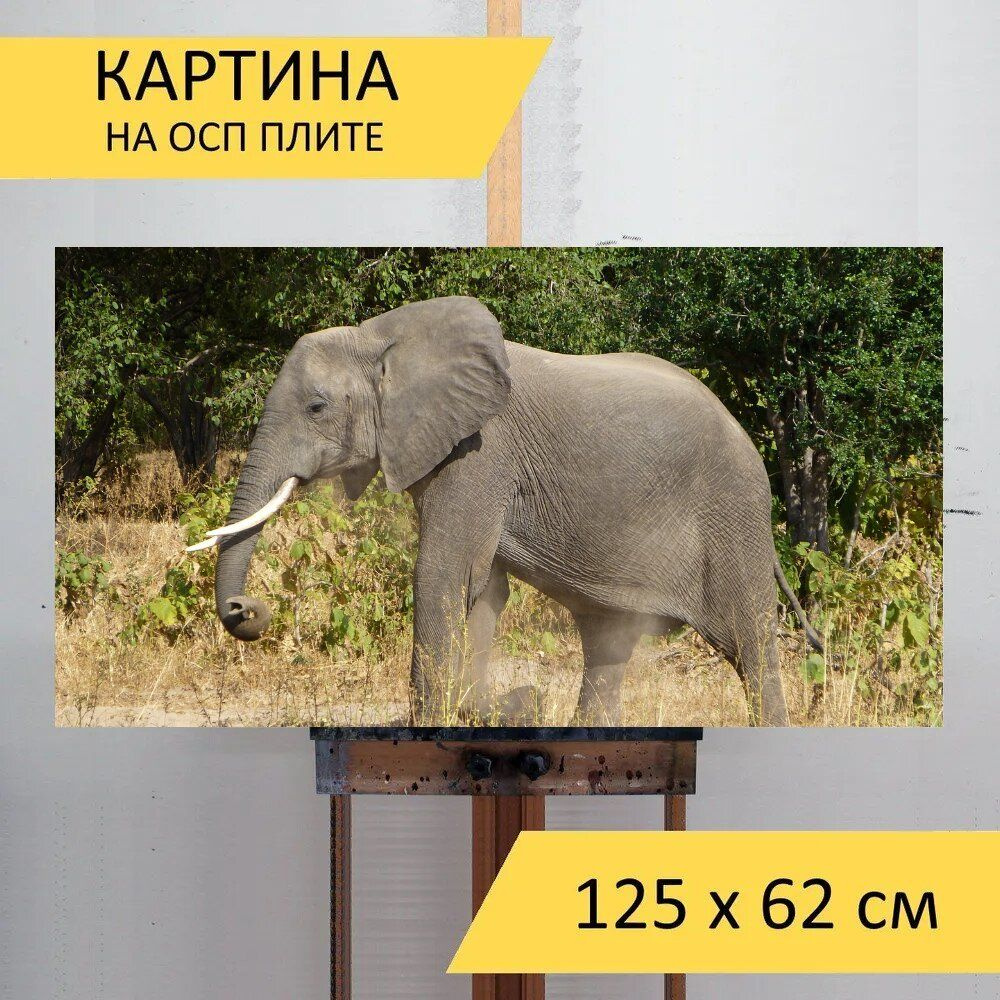 LotsPrints Картина "Слон, животное, африке 94", 125  х 62 см #1