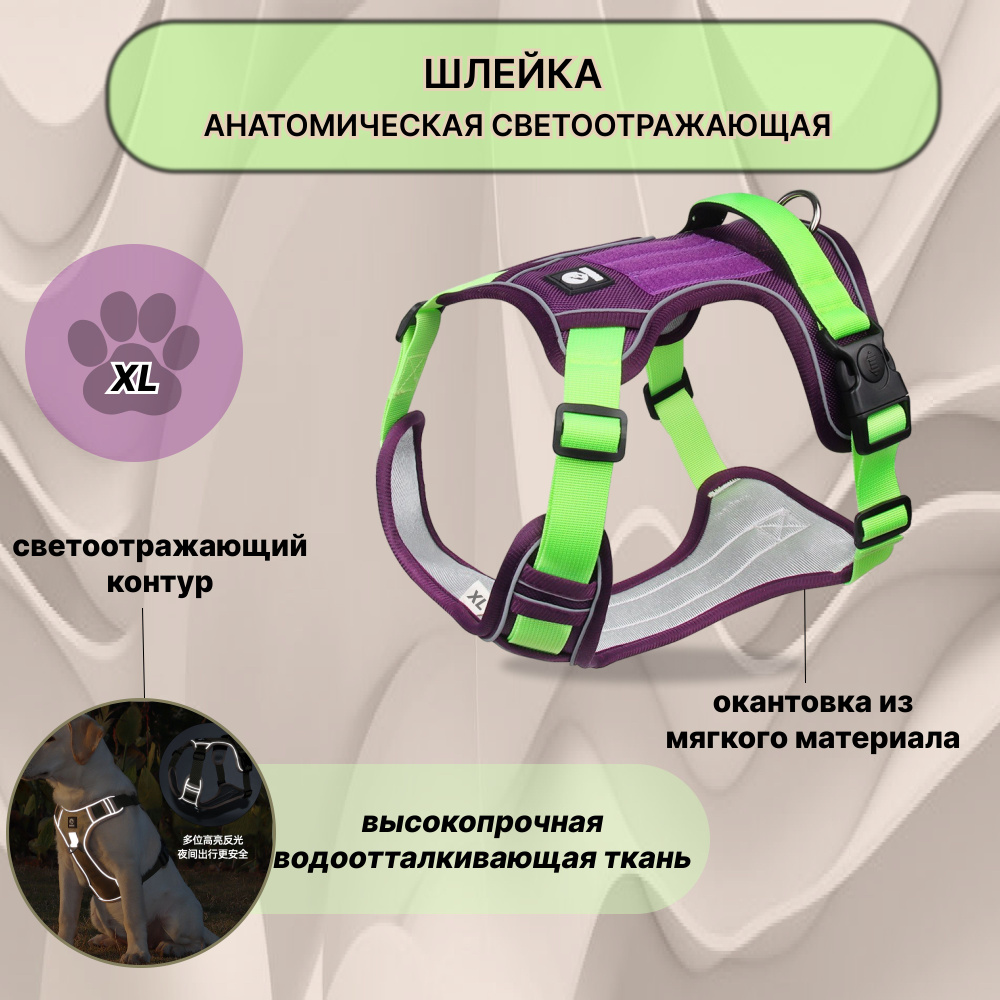 Шлейка для собак анатомически правильная, универсальная, прогулочная ...