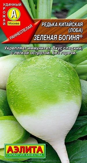 РЕДЬКА КИТАЙСКАЯ ЗЕЛЕНАЯ БОГИНЯ. Семена. Вес 1 гр. Лоба. Не имеет равных по скороспелости, продуктивности #1