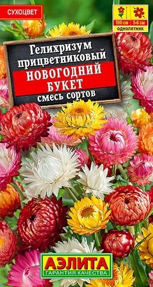 ГЕЛИХРИЗУМ Новогодний букет. Семена. Вес 0,3 гр. Неповторимое однолетнее растение-сухоцвет, часто именуемое #1