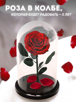 Эльза Триоле «Розы в кредит»