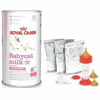 Royal canin babycat hot sale milk