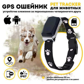 Pet gps shop tracker