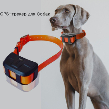 Puppy tracker best sale