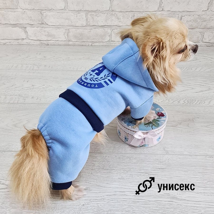 Спортивный костюм для собаки "Dilai" CROSS, трикотажный комбинезон, S ...