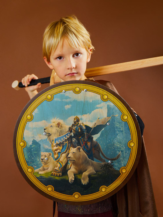 Деревянный щит для детей БЕЗ меча Игрушечное оружие. Средневековая ...