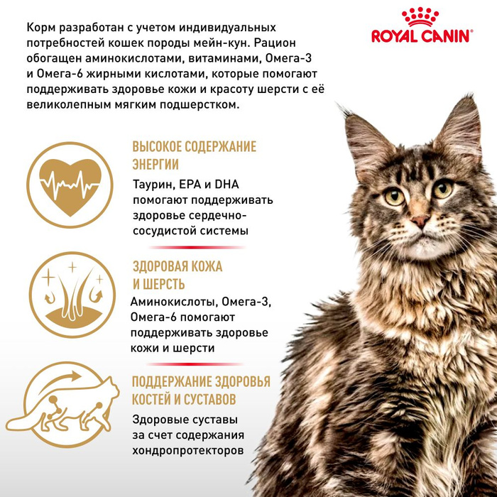 Canin maine coon. Royal Canin Maine Coon кусочки в соусе для кошек породы Мейн-кун 85 гр. Royal Canin Kitten Maine Coon кусочки в соусе для кошек породы Мейн-кун 85 гр.