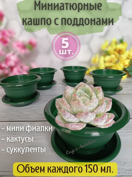 5 Кашпо для кактусов, фиалок, суккулентов с поддоном, маленькие ...