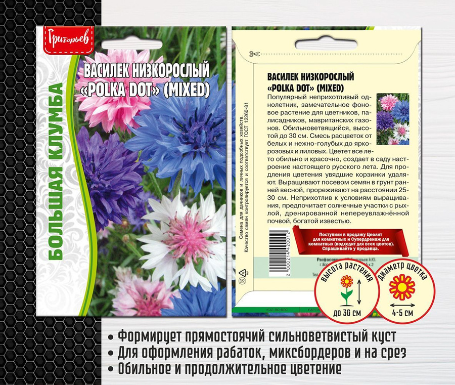 Василек полька фото. Василек полька ДОТ. Василек низкорослый. Цветок Василек полька ДОТ. Василек полька ДОТ фото.