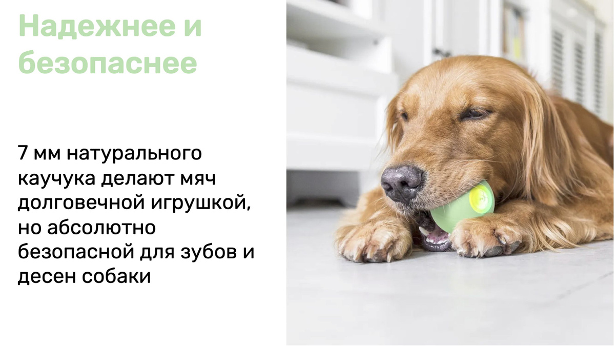 Текстовое описание изображения